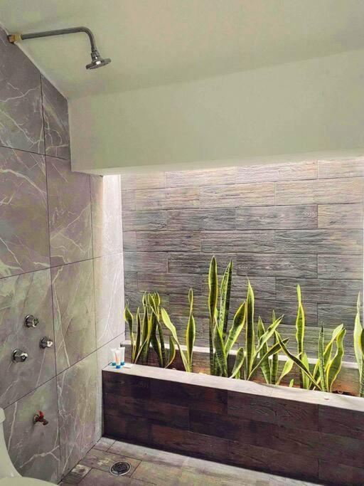 Casa Sol Y Luna Luxury Valladolid  Eksteriør bilde